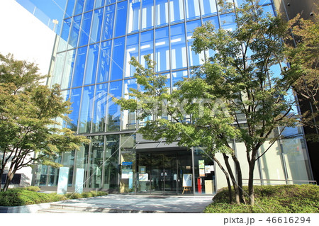 聖徳大学　松戸市 46616294