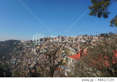 Shimla1 46617134