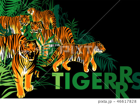Graphic design with tigers standing, walking and roaring among the exotic leaves and trees Graphic design with tigers standing, walking and roaring among the exotic leaves and trees 46617828