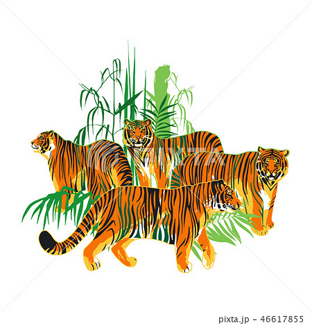Four graphic tigers standing and walking among the exotic leaves and trees 46617855
