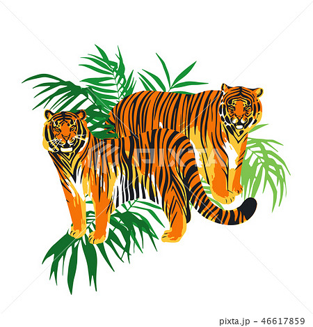 Two graphic tigers standing among the exotic leaves 46617859