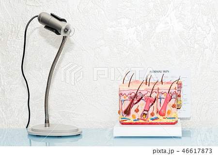 The Human Skin Cross-Section model. Detailed human skin structure with hair on the table in clinic 46617873