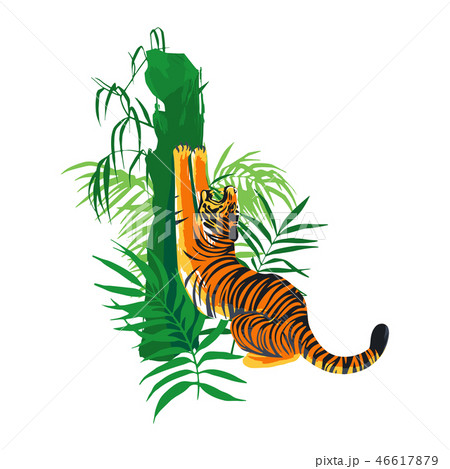 Tiger stretching hic body, yawning and sharpening his claws on a tree surrounded by exotic leaves. 46617879
