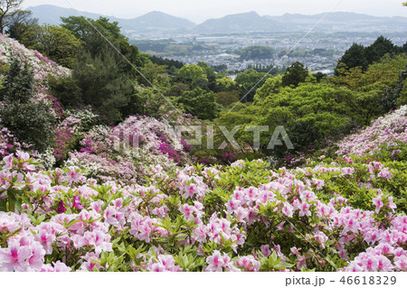 福岡 福岡 46618329