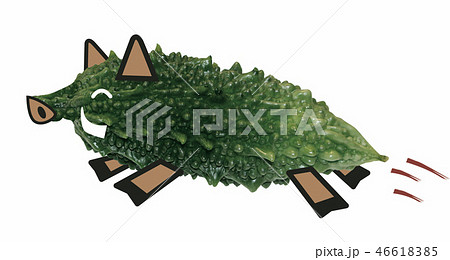 ゴーヤーいのしし ゴーヤーいのしし 46618385