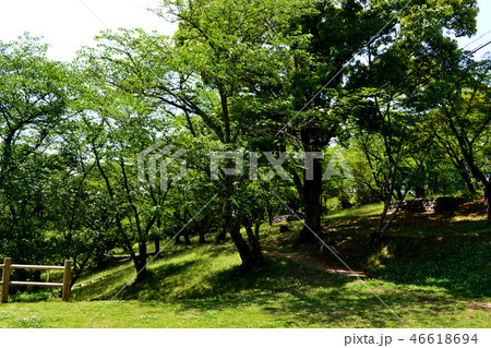 熊本県 田原坂公園(かっては西南戦争の古戦場、今は緑豊かな公園) 熊本県 田原坂公園(かっては西南戦争の古戦場、今は緑豊かな公園) 46618694
