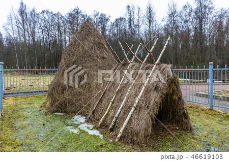 Lenin's hut near lake Razliv Lenin's hut near lake Razliv 46619103