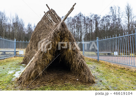 Lenin's hut near lake Razliv 46619104
