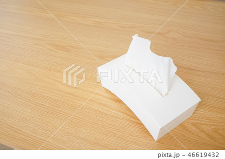 モダン・インテリア モダン・インテリア 46619432