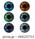 Eyes iris collage. Beautiful female eyes of different colors 46620753