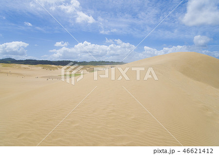 鳥取砂丘 鳥取砂丘 46621412
