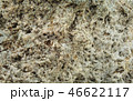 Rough raw tufa stone surface texture 46622117
