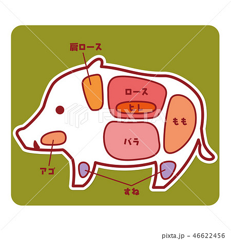 食物図解/猪肉の部位 食物図解/猪肉の部位 46622456