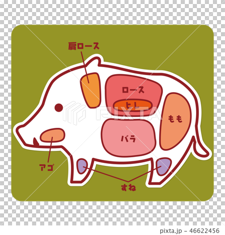 食物図解/猪肉の部位 食物図解/猪肉の部位 46622456