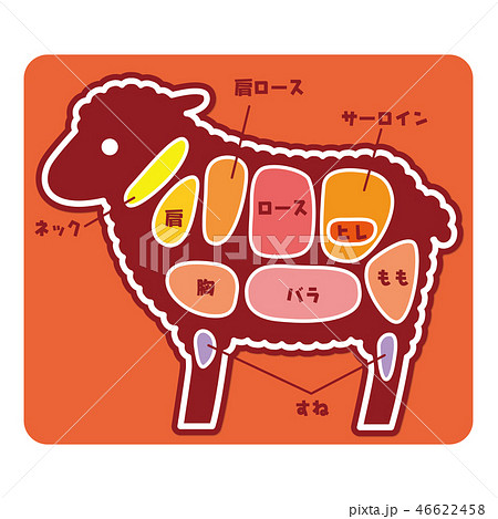 食物図解/羊肉の部位 食物図解/羊肉の部位 46622458