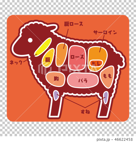 食物図解/羊肉の部位 食物図解/羊肉の部位 46622458