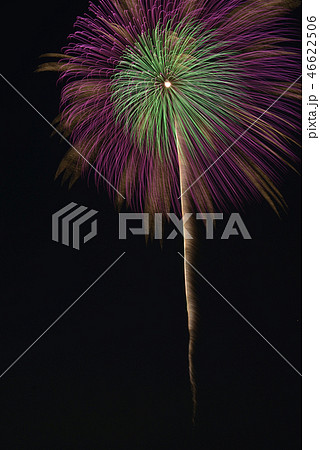 利根川の花火 利根川の花火 46622506