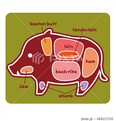 食物図解 猪肉の部位 英語 のイラスト素材