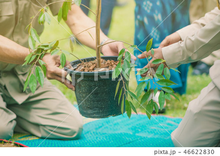 The provincial governor and his wife plant a tree The provincial governor and his wife plant a tree 46622830