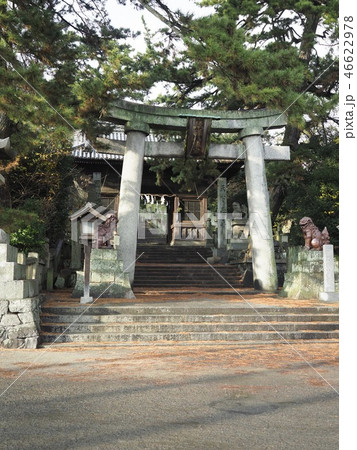 香川県 観音寺市 琴弾八幡宮 鳥居 香川県 観音寺市 琴弾八幡宮 鳥居 46622978