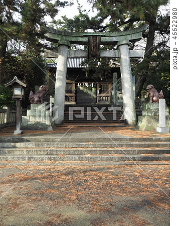 香川県 観音寺市 琴弾八幡宮 鳥居 香川県 観音寺市 琴弾八幡宮 鳥居 46622980