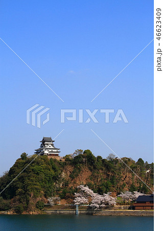 春の犬山市 都市風景 春の犬山市 都市風景 46623409