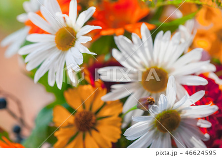 Summer bouquet background Summer bouquet background 46624595