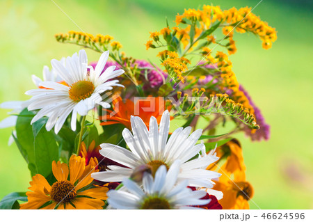Summer bouquet with mix of flowers Summer bouquet with mix of flowers 46624596