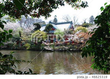 Benzaiten Temple Environs, Inokashira Park 2007 46625319