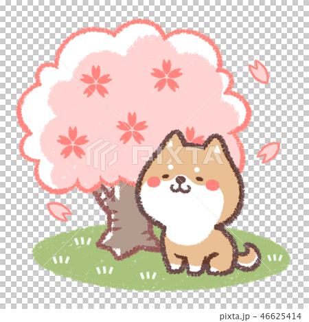 花見イヌ 花見イヌ 46625414