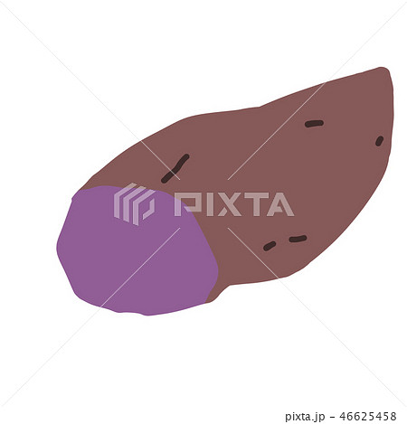 さつまいも/薩摩芋_02　　　紫色 46625458