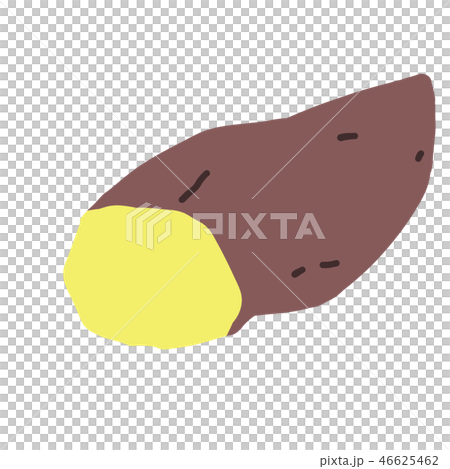 さつまいも/薩摩芋_05 淡い黄色 さつまいも/薩摩芋_05 淡い黄色 46625462