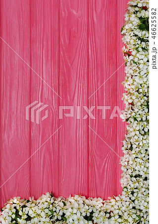 Beautiful spring bloom flowers on pink wooden background 46625582