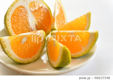 スイートスプリング 46625596