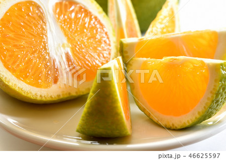 スイートスプリング 46625597