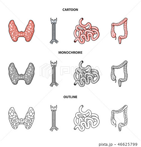 large intestine cartoon
