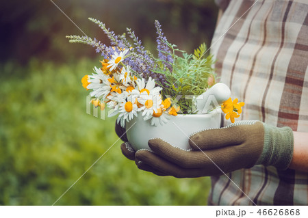 Woman holding in her hands mortar of healing herbs Woman holding in her hands mortar of healing herbs 46626868