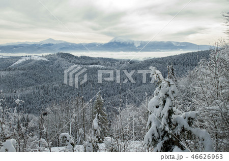 beautiful Carpathian mountains in winter 46626963