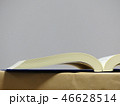 本 46628514