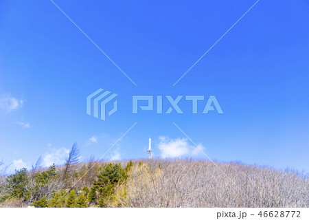 大関嶺牧場 季節 自然 46628772