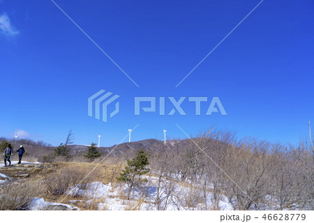 大関嶺牧場 季節 自然 46628779