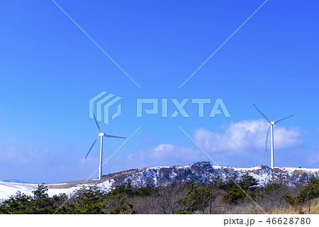 大関嶺牧場 季節 自然 46628780