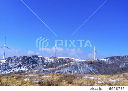 大関嶺牧場 季節 自然 46628785