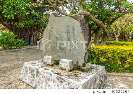 ひめゆりの塔 46629264