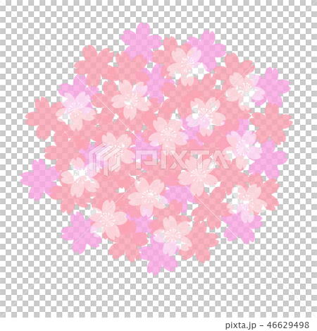 Cherry blossom icon illustration Cherry blossom icon illustration 46629498