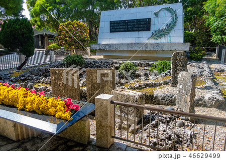 ひめゆりの塔 46629499