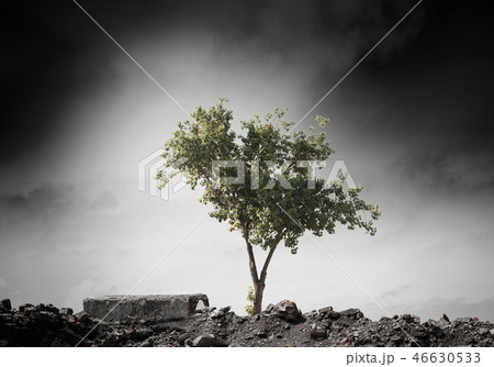 Birth of new life Birth of new life 46630533