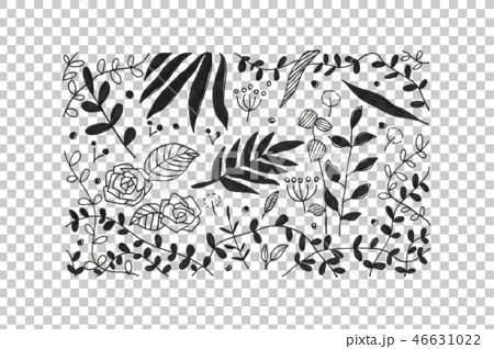 Botanical Design Square Monochrome Stock Illustration