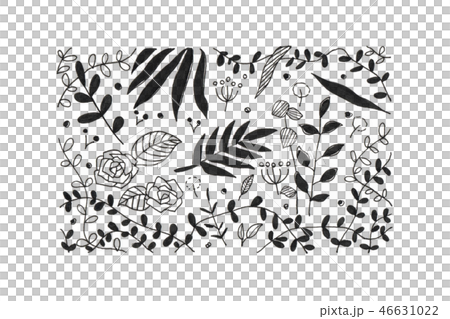 Botanical Design Square Monochrome Stock Illustration