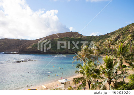 ハワイ　ハナウマ湾　オアフ島: Hanauma Bay 46633020